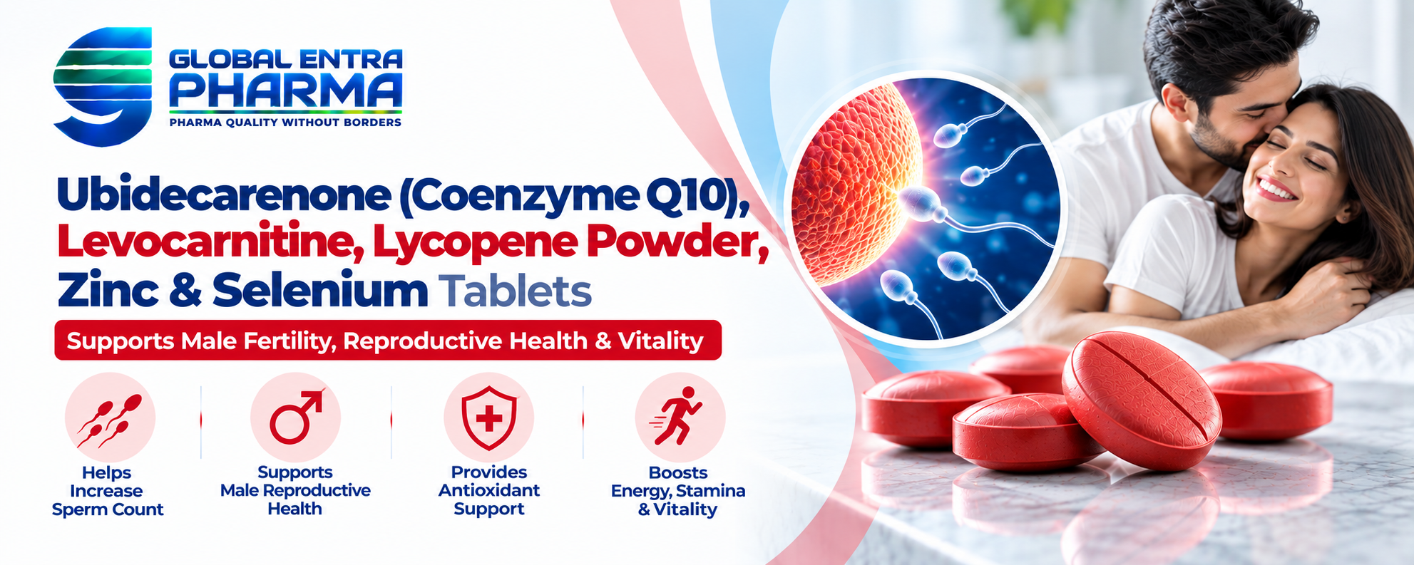 Ubidecarenone Coenzyme Q10, Levocarnitine, Lycopene, Zinc & Selenium Tablets Manufacturer in India
